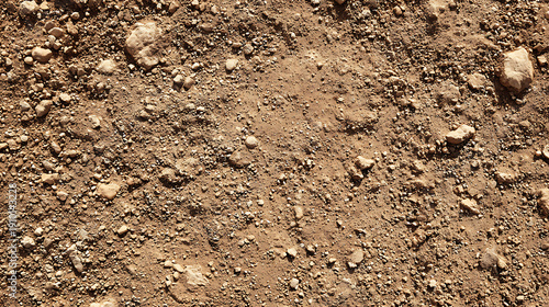 Close-up of Dry Soil Surface with Scattered Rocks earth