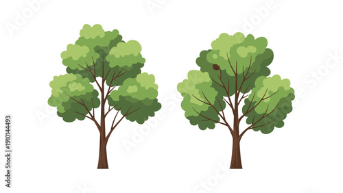 Two lush green deciduous trees with brown trunks stand side by side representing nature and the beauty of the environment in a simple style.
