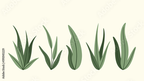 Collection of five different green plant leaves with distinct shapes and veins is arranged in a row against a light cream background.