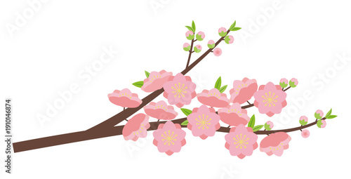 八重咲きの桃の花枝