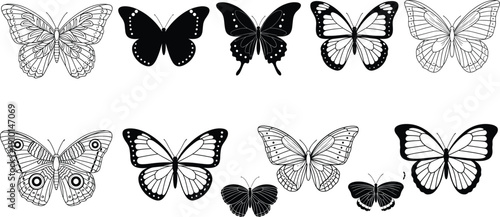 Butterfly silhouette and pattern collection, decorative insect vector set, black and white clipart, nature design element, spring, garden, wildlife art