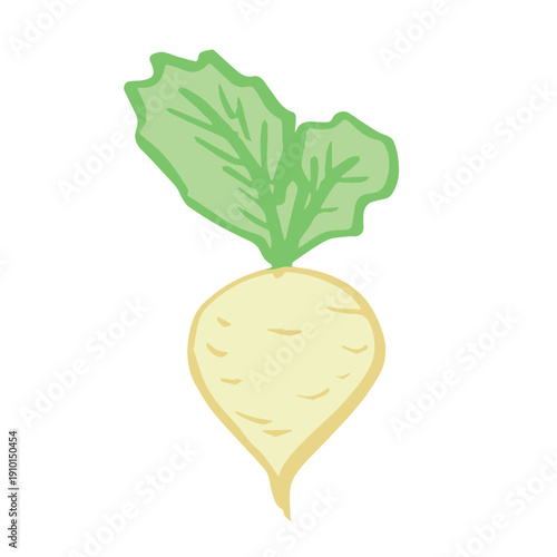 Hand drawn farm daikon radish plant with green leaves Fresh vegetable doodle Healthy eco food Organic garden vegetarian food For design, print, packaging, decor, kids books