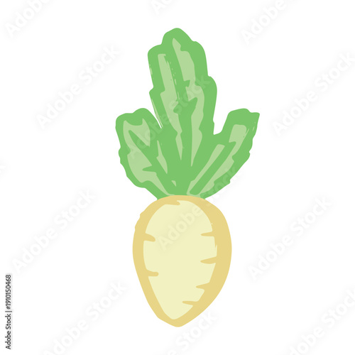 Hand drawn farm daikon radish plant with green leaves Fresh vegetable doodle Healthy eco food Organic garden vegetarian food For design, print, packaging, decor, kids books