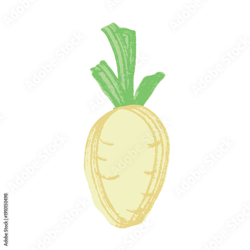 Hand drawn farm daikon radish plant with green leaves Fresh vegetable doodle Healthy eco food Organic garden vegetarian food For design, print, packaging, decor, kids books