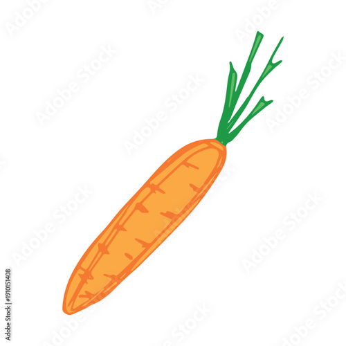 Hand drawn farm carrot plant with green leaves Fresh vegetable doodle Healthy eco food Organic garden vegetarian food For design, print, packaging, decor, kids books, coloring pages