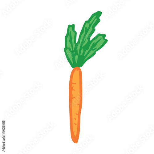 Hand drawn farm carrot plant with green leaves Fresh vegetable doodle Healthy eco food Organic garden vegetarian food For design, print, packaging, decor, kids books