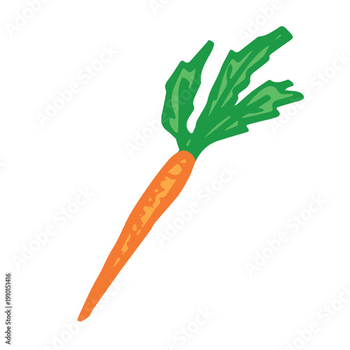 Hand drawn farm carrot plant with green leaves Fresh vegetable doodle Healthy eco food Organic garden vegetarian food For design, print, packaging, decor, kids books