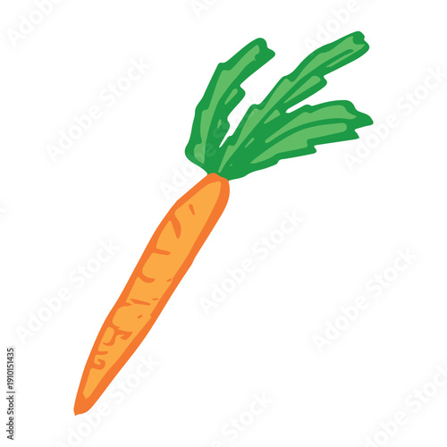 Hand drawn farm carrot plant with green leaves Fresh vegetable doodle Healthy eco food Organic garden vegetarian food For design, print, packaging, decor, kids books