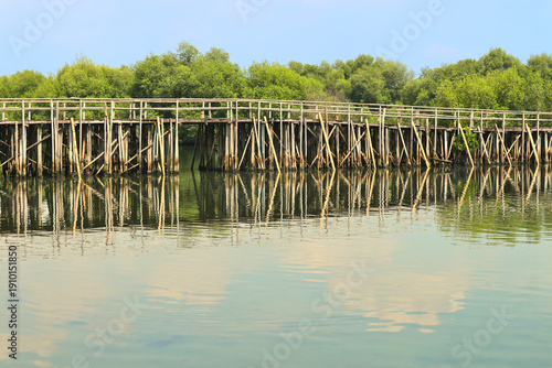 Wallpaper Mural bamboo bridge over the swampy mangrove forest Torontodigital.ca