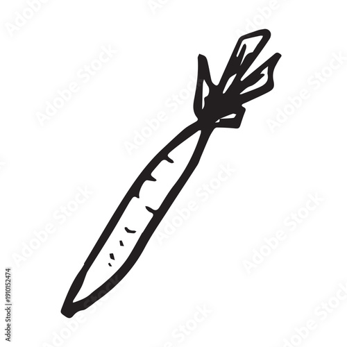 Hand drawn farm carrot plant with green leaves Fresh vegetable doodle Healthy eco food Organic garden vegetarian food For design, print, packaging, decor, kids books, coloring pages