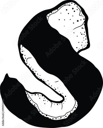 Black and White Oyster Shell Isolated on White Background