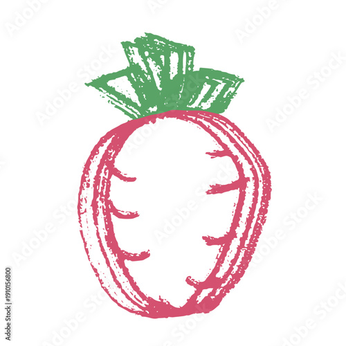 Hand drawn farm radish beet beetroot plant with green leaves Fresh vegetable doodle Healthy eco food Organic garden vegetarian food For design, print, packaging, decor, kids books