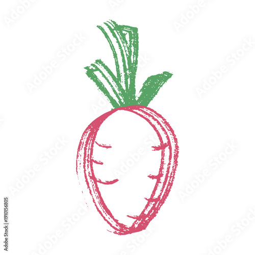 Hand drawn farm radish beet beetroot plant with green leaves Fresh vegetable doodle Healthy eco food Organic garden vegetarian food For design, print, packaging, decor, kids books