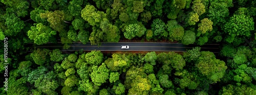 Sustainable mobility concept with EV driving on scenic forest highway.
