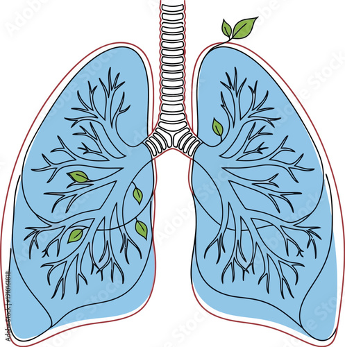 Illustration symbolizing healthy respiratory system and breathing clean air concept with bronchial tree structure and delicate green leaves emerging naturally