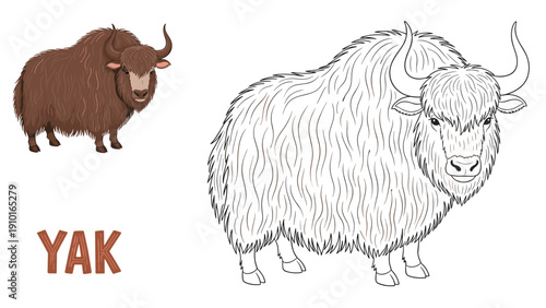 Educational coloring page for kids featuring a large, furry yak with its colored version and the word 'YAK' for learning.
