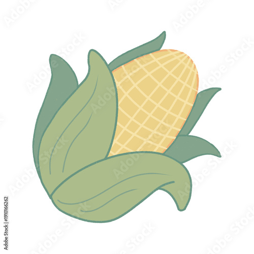 vector illustration of a corn