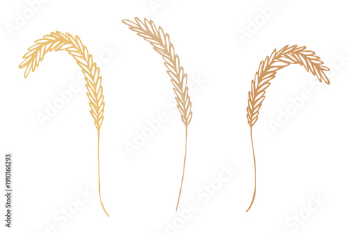 Set of hand drawn cereal wheat oat rye barley rice ears spikelet clipart Organic wheat bread agriculture farming harvest healthy food Single element for design print packaging label decor