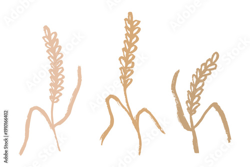 Set of hand drawn cereal wheat oat rye barley rice ears spikelet clipart Organic wheat bread agriculture farming harvest healthy food Single element for design print packaging label decor