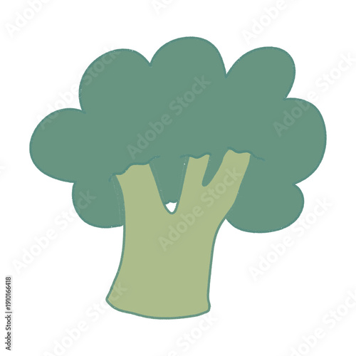 vector illustration of a broccoli 
