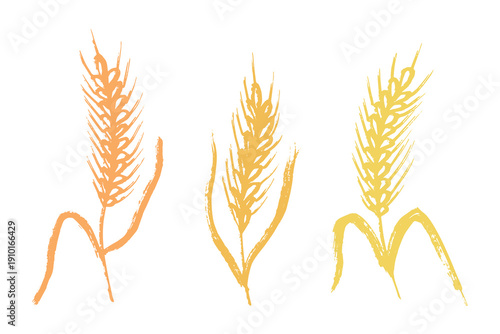 Set of hand drawn cereal wheat oat rye barley rice ears spikelet clipart Organic wheat bread agriculture farming harvest healthy food Single element for design print packaging label decor