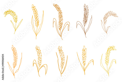 Set of hand drawn cereal wheat oat rye barley rice ears spikelet clipart Organic wheat bread agriculture farming harvest healthy food Single element for design print packaging label decor