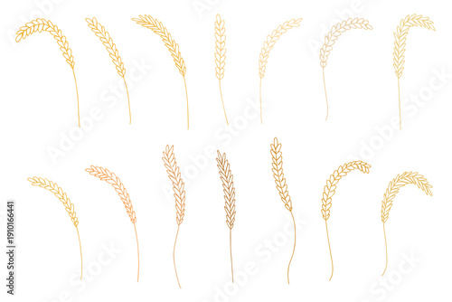 Set of hand drawn cereal wheat oat rye barley rice ears spikelet clipart Organic wheat bread agriculture farming harvest healthy food Single element for design print packaging label decor