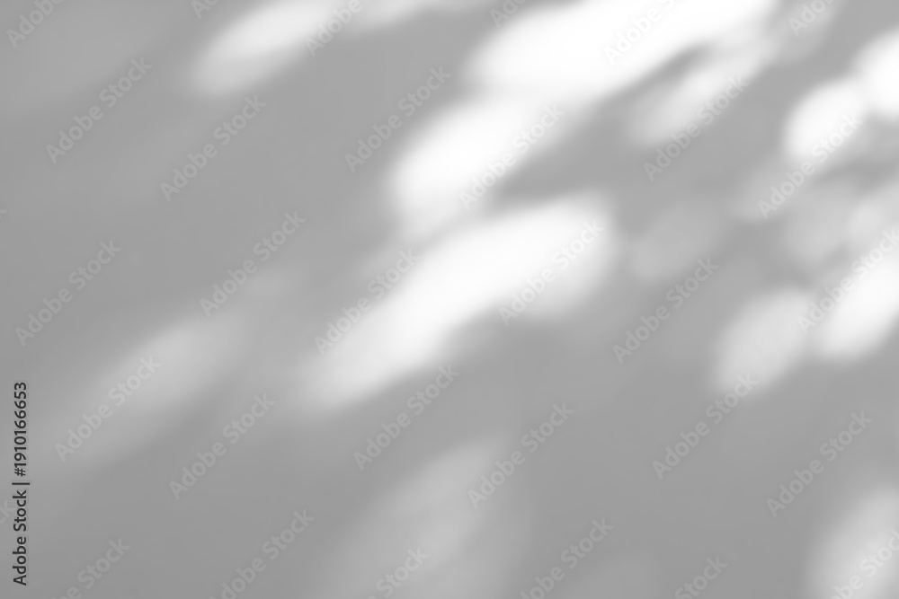 Fototapeta premium Abstract natural tree branch leaves shadow on white wall background
