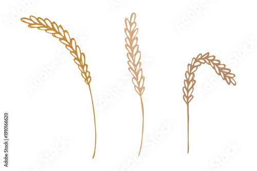Set of hand drawn cereal wheat oat rye barley rice ears spikelet clipart Organic wheat bread agriculture farming harvest healthy food Single element for design print packaging label decor