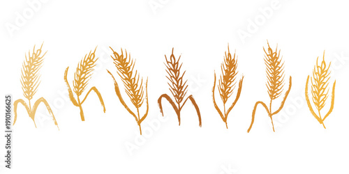 Set of hand drawn cereal wheat oat rye barley rice ears spikelet clipart Organic wheat bread agriculture farming harvest healthy food Single element for design print packaging label decor