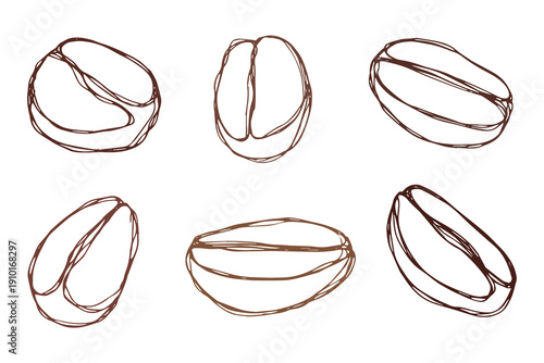 Set of hand drawn fresh roasted coffee bean Arabica robusta seed doodle Single element for design print packaging label decor