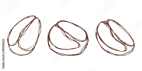 Set of hand drawn fresh roasted coffee bean Arabica robusta seed doodle Single element for design print packaging label decor