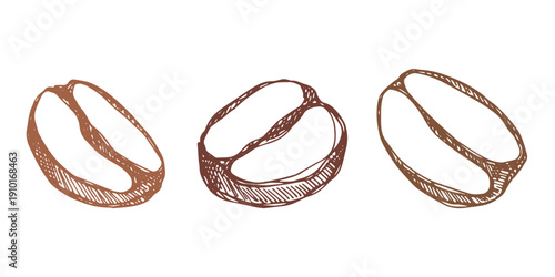 Set of hand drawn fresh roasted coffee bean Arabica robusta seed doodle Single element for design print packaging label decor