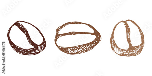Set of hand drawn fresh roasted coffee bean Arabica robusta seed doodle Single element for design print packaging label decor