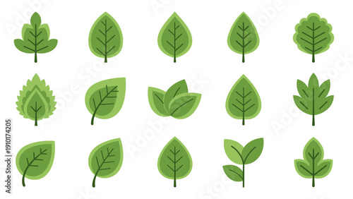 Collection of various green leaf shapes.