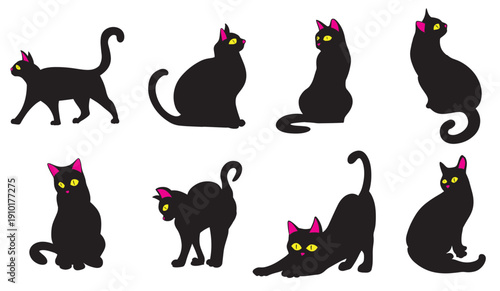 The Black cat for pet or halloween concept