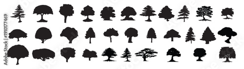 tree silhouettes vector