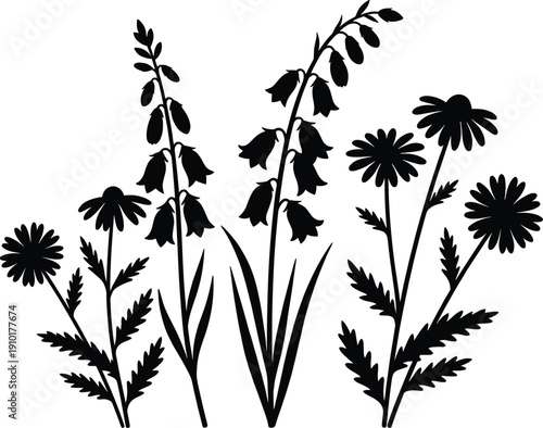 Wildflower silhouettes with black meadow flowers, blooming daisies, and delicate bellflowers isolated on white background for nature design projects