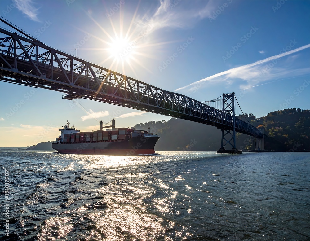 Fototapeta premium A large cargo ship passes under a steel bridge