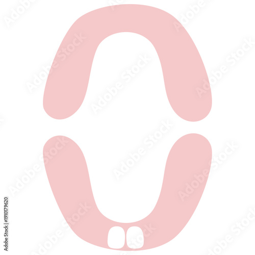 Baby Teeth Lower Central Incisors
