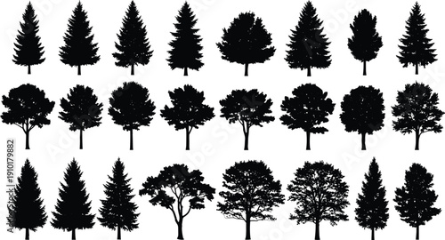 Collection of detailed tree silhouettes including pine and deciduous varieties isolated on white background, natural forest landscape vector illustration set for design projects