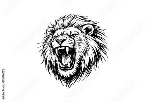 African Lion hand drawn simple sketch vector illustration
