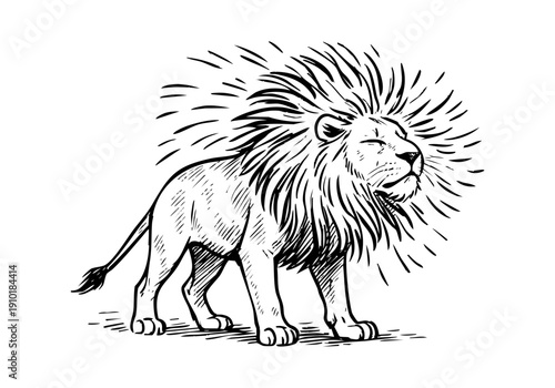 African Lion hand drawn simple sketch vector illustration
