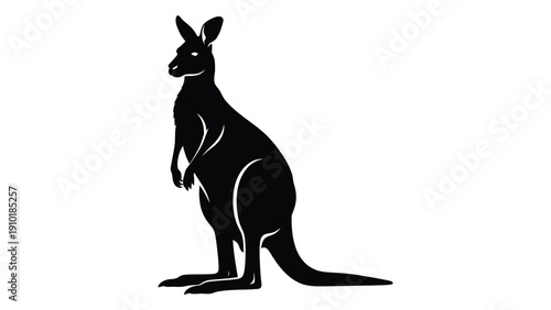 A silhouette of a kangaroo standing on its hind legs with its tail on the ground isolated on white background, Vector