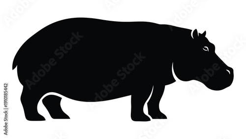 A silhouette of a hippopotamus standing on all fours facing to the right isolated on white background, Vector