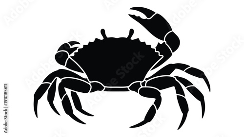 A black and white illustration of a crab with intricate details on its shell and claws. isolated on white background, Vector