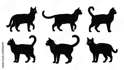 Black silhouettes of cats in various dynamic poses and positions isolated on white background, Vector