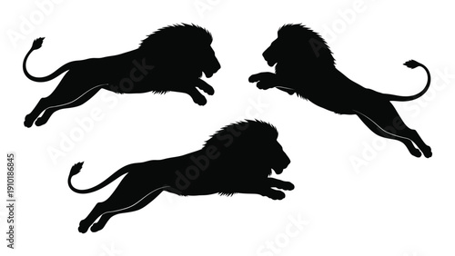 Three majestic lions in mid-leap against a white background isolated on white background, Vector