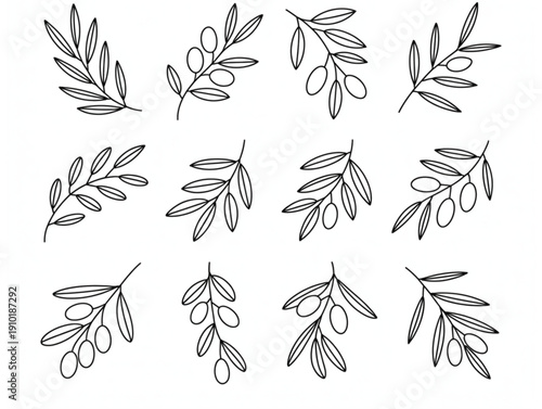 Minimalist olive branch line art set, decorative Mediterranean leaf elements for wedding and logo design