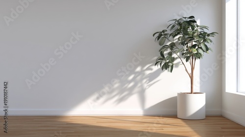 An empty corner with a potted plant near two white walls, natural wooden flooring, sunlight casting shadows,